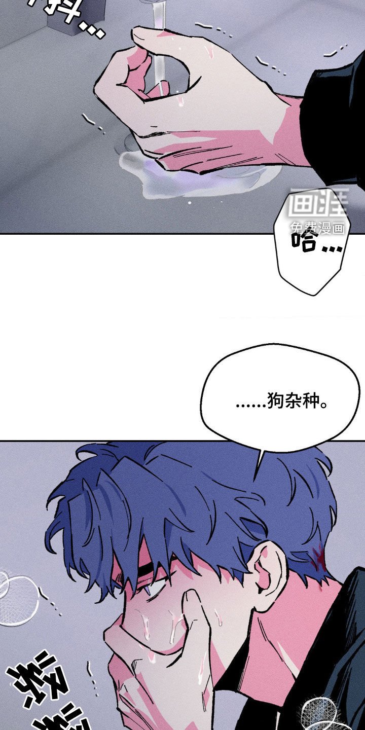 第37章：偏执
