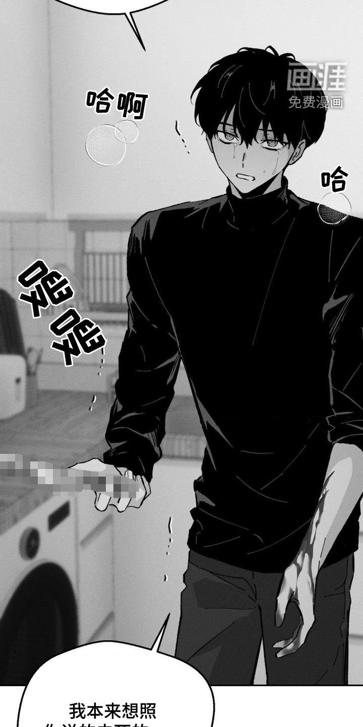 第37章：偏执