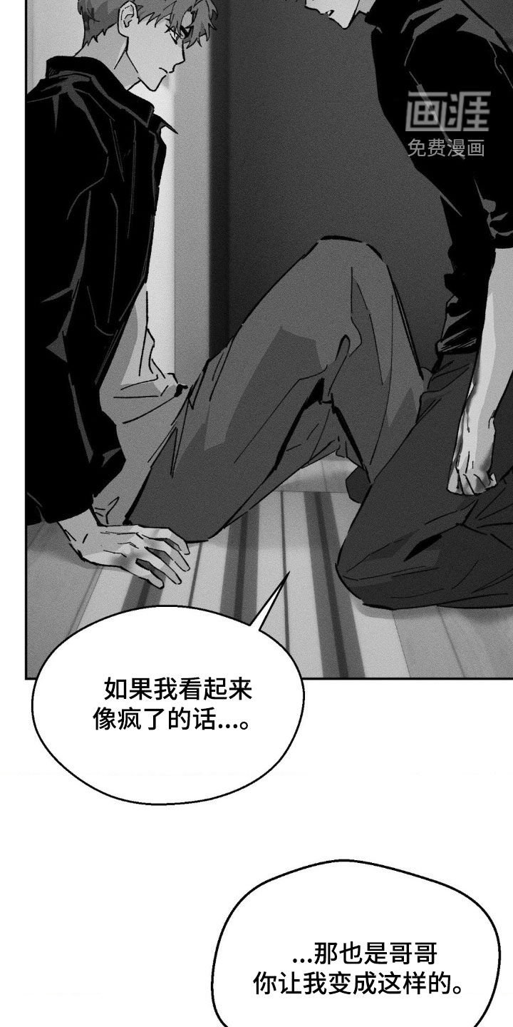 第37章：偏执
