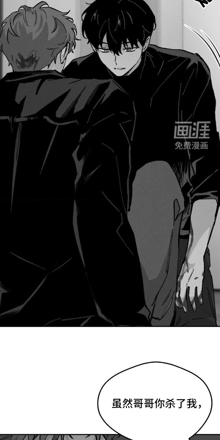 第38章：没有爱过你（完结）