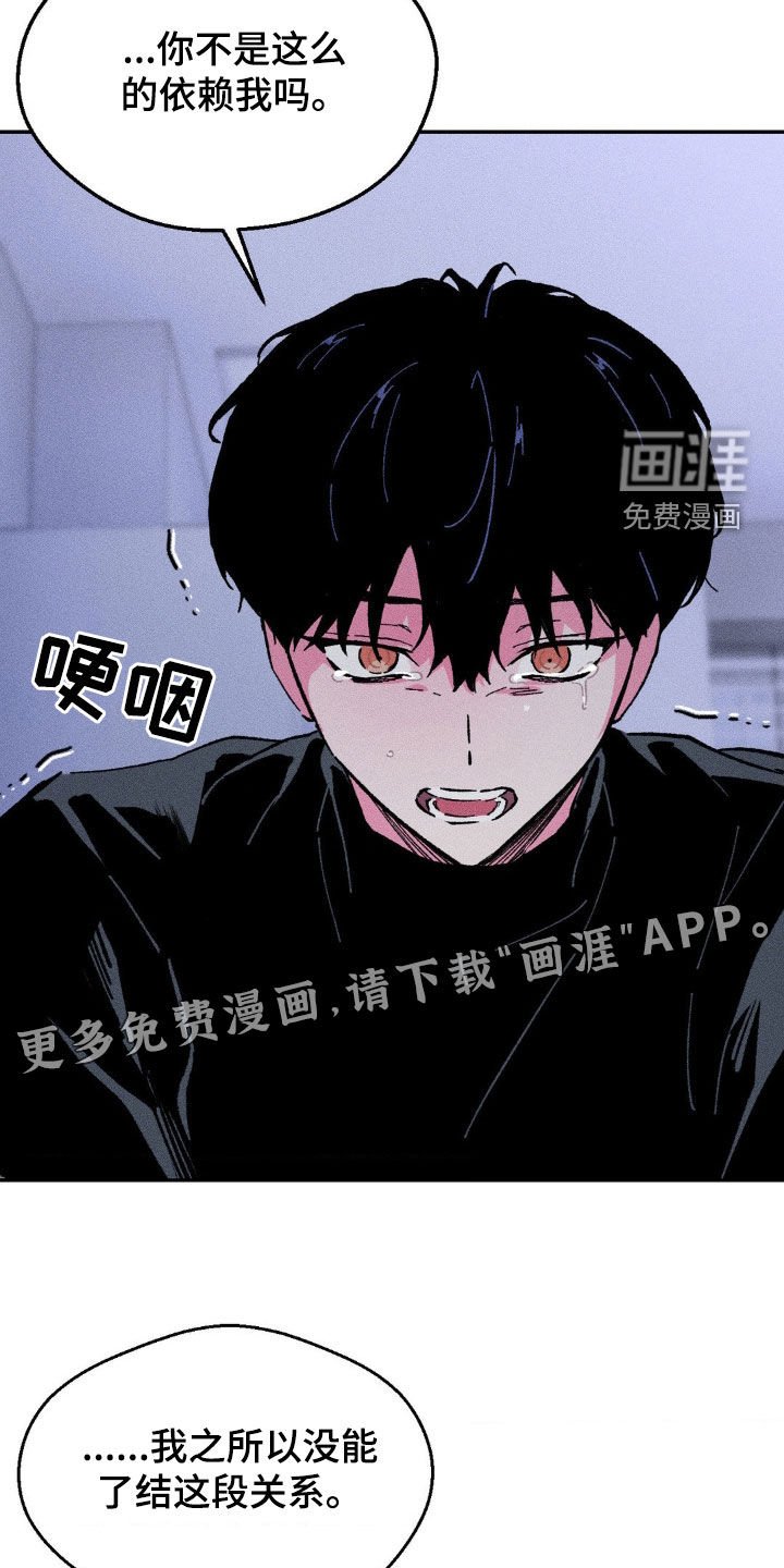 第38章：没有爱过你（完结）