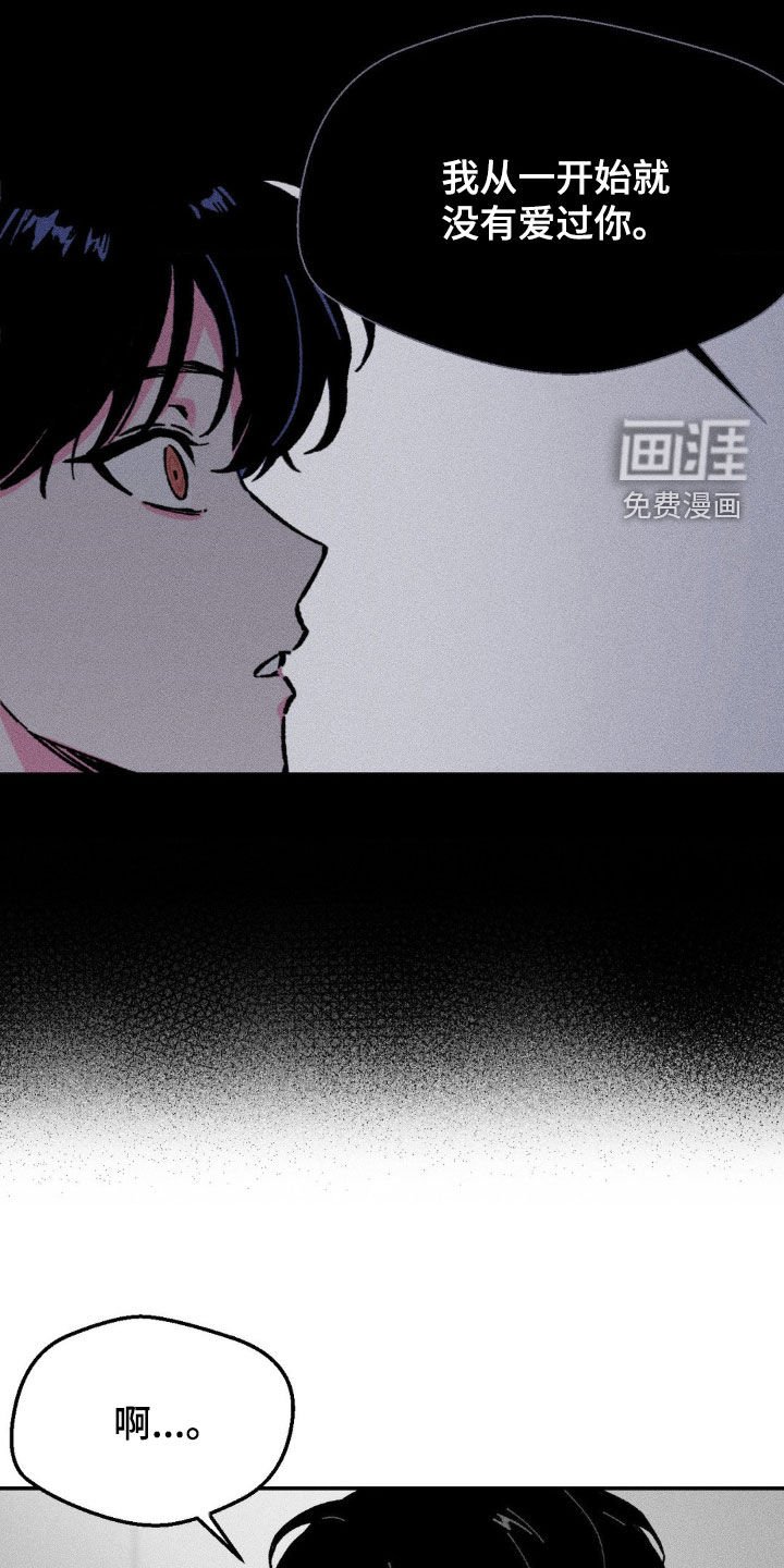 第38章：没有爱过你（完结）