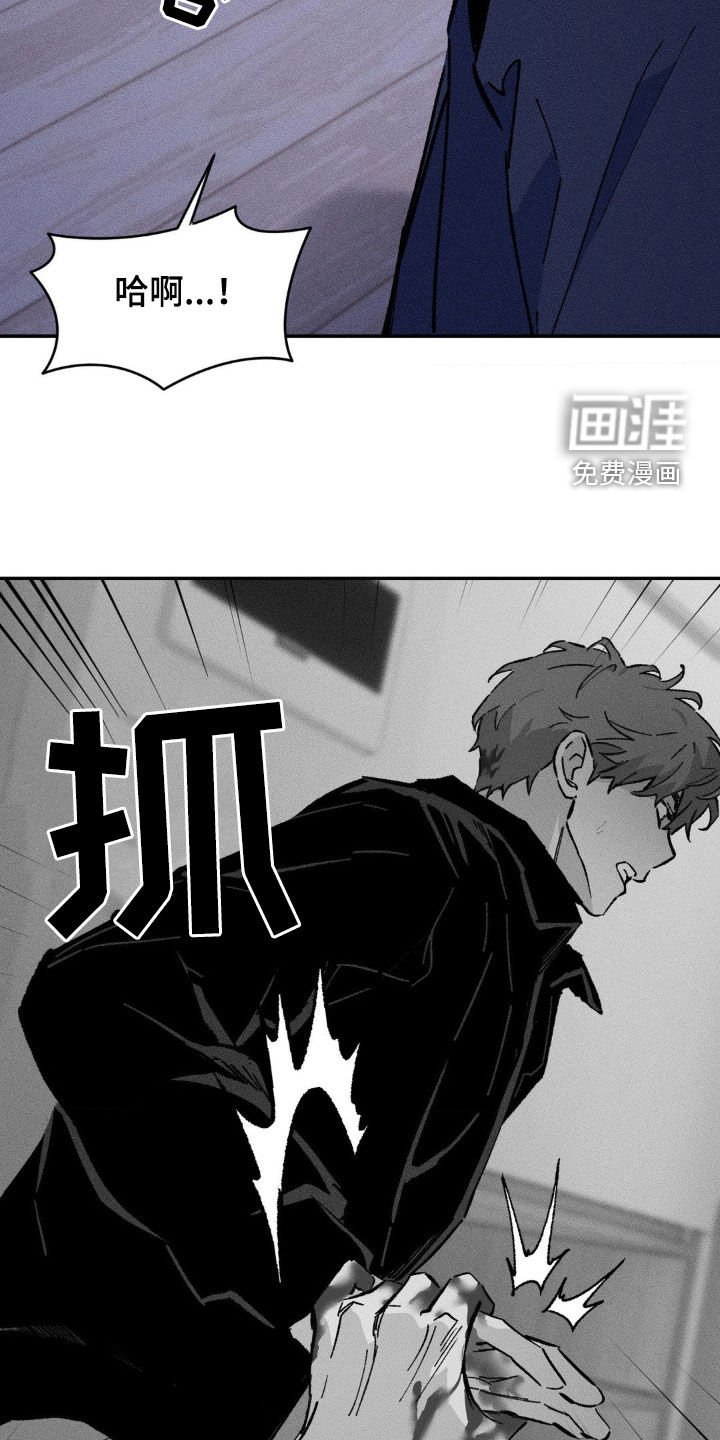 第38章：没有爱过你（完结）