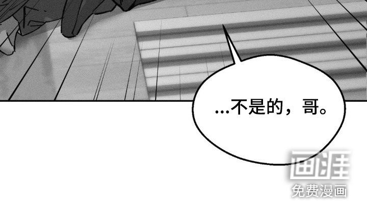 第38章：没有爱过你（完结）