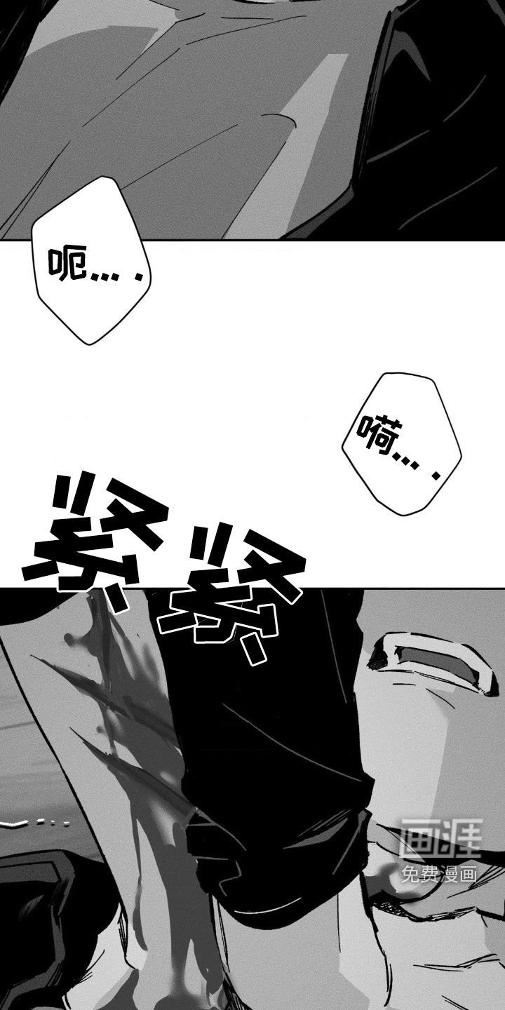 第38章：没有爱过你（完结）
