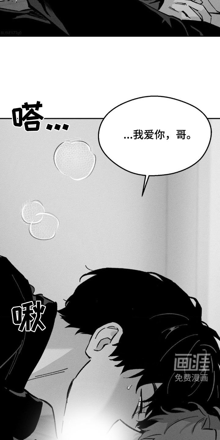 第38章：没有爱过你（完结）