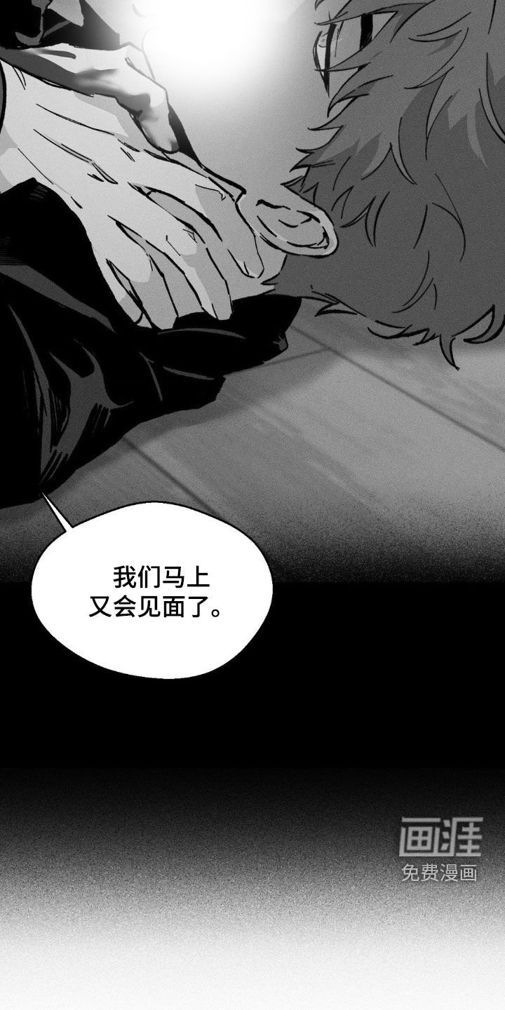 第38章：没有爱过你（完结）