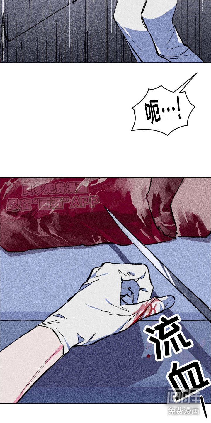 第4章：伪造伤口