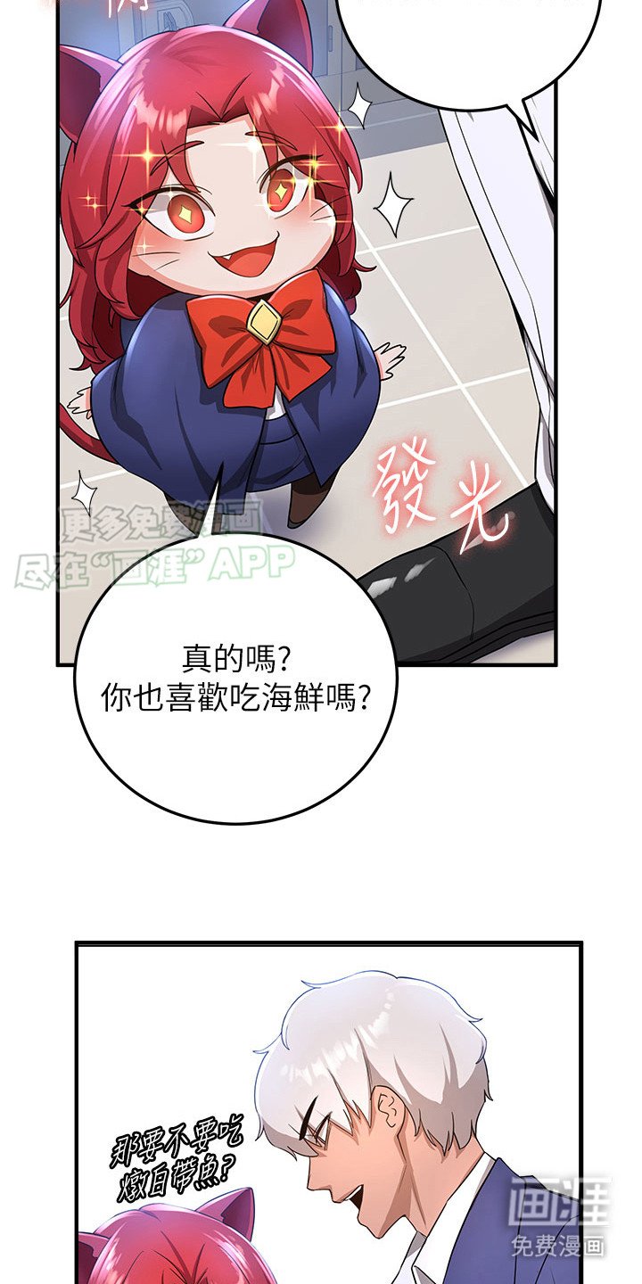 第15章：喜好