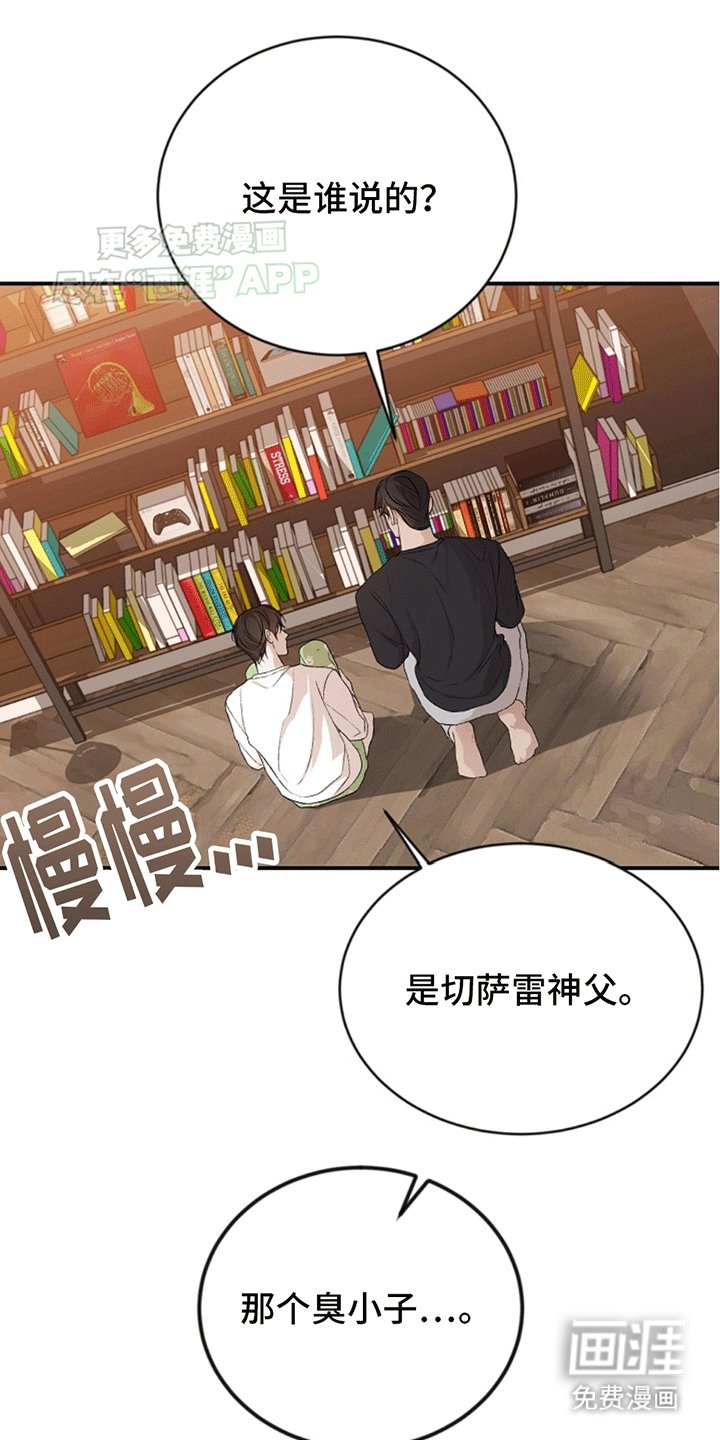 第13章：理想型