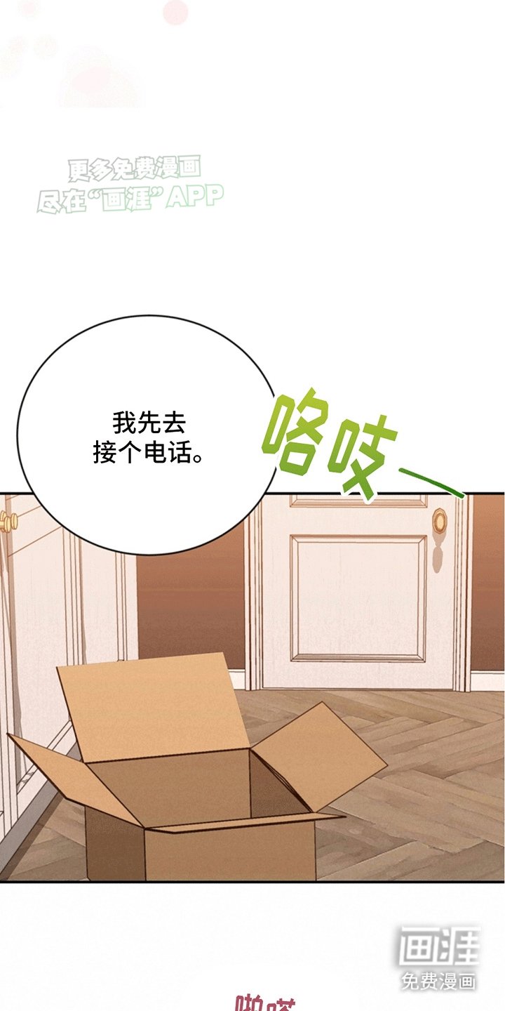 第13章：理想型