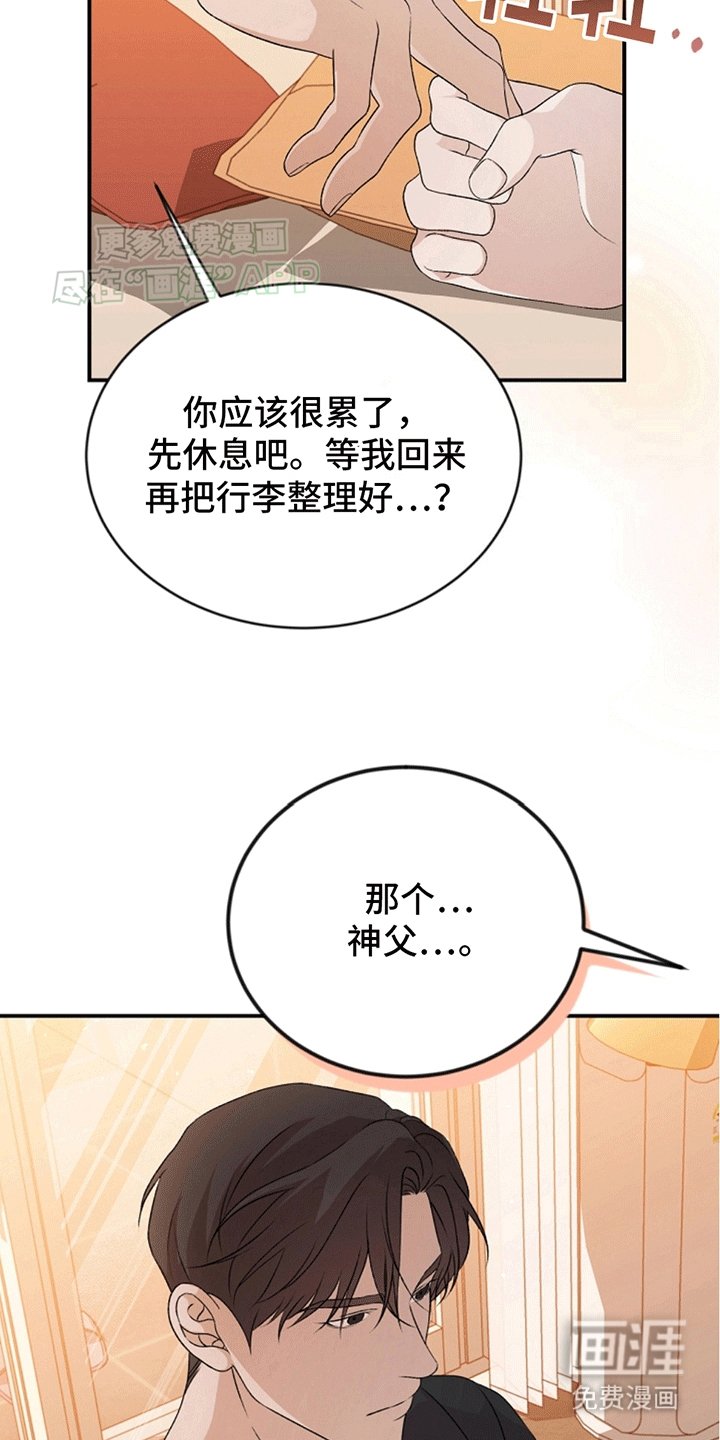 第13章：理想型