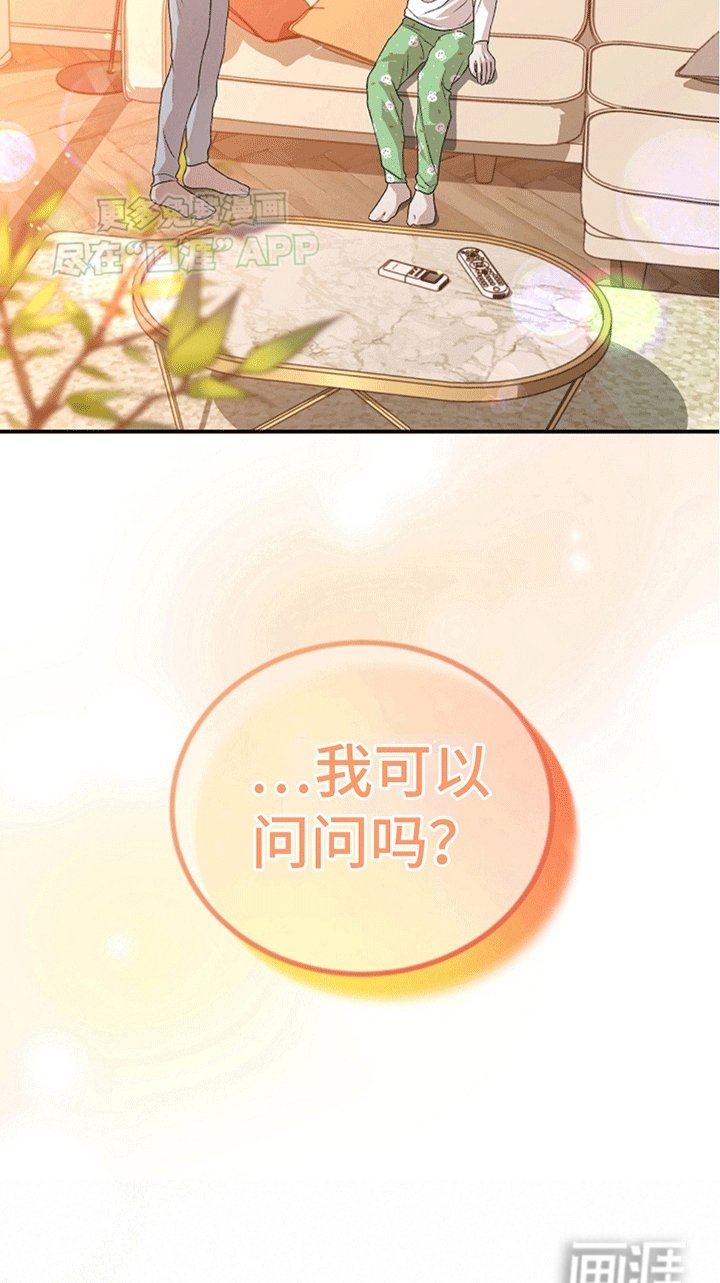 第13章：理想型