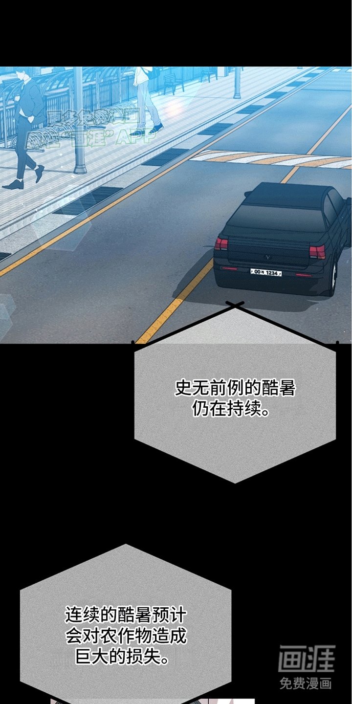 第13章：理想型