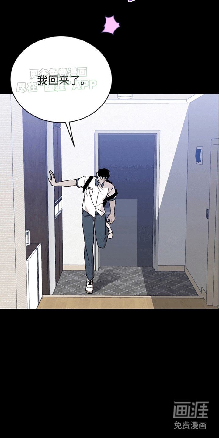 第13章：理想型