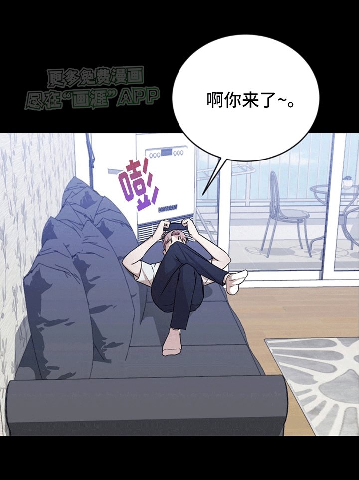 第13章：理想型
