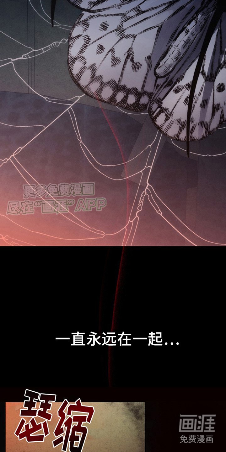 第12章：翘首以盼