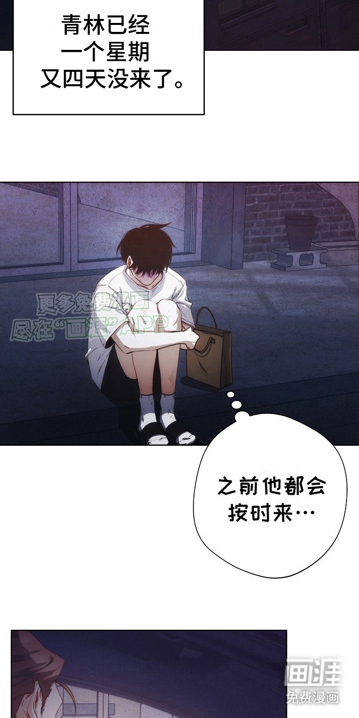 第12章：翘首以盼