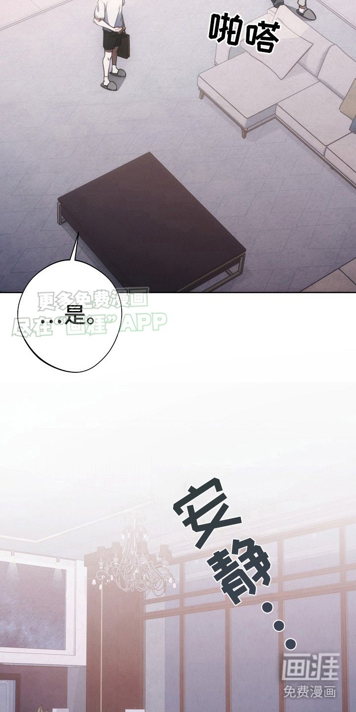第13章：公寓