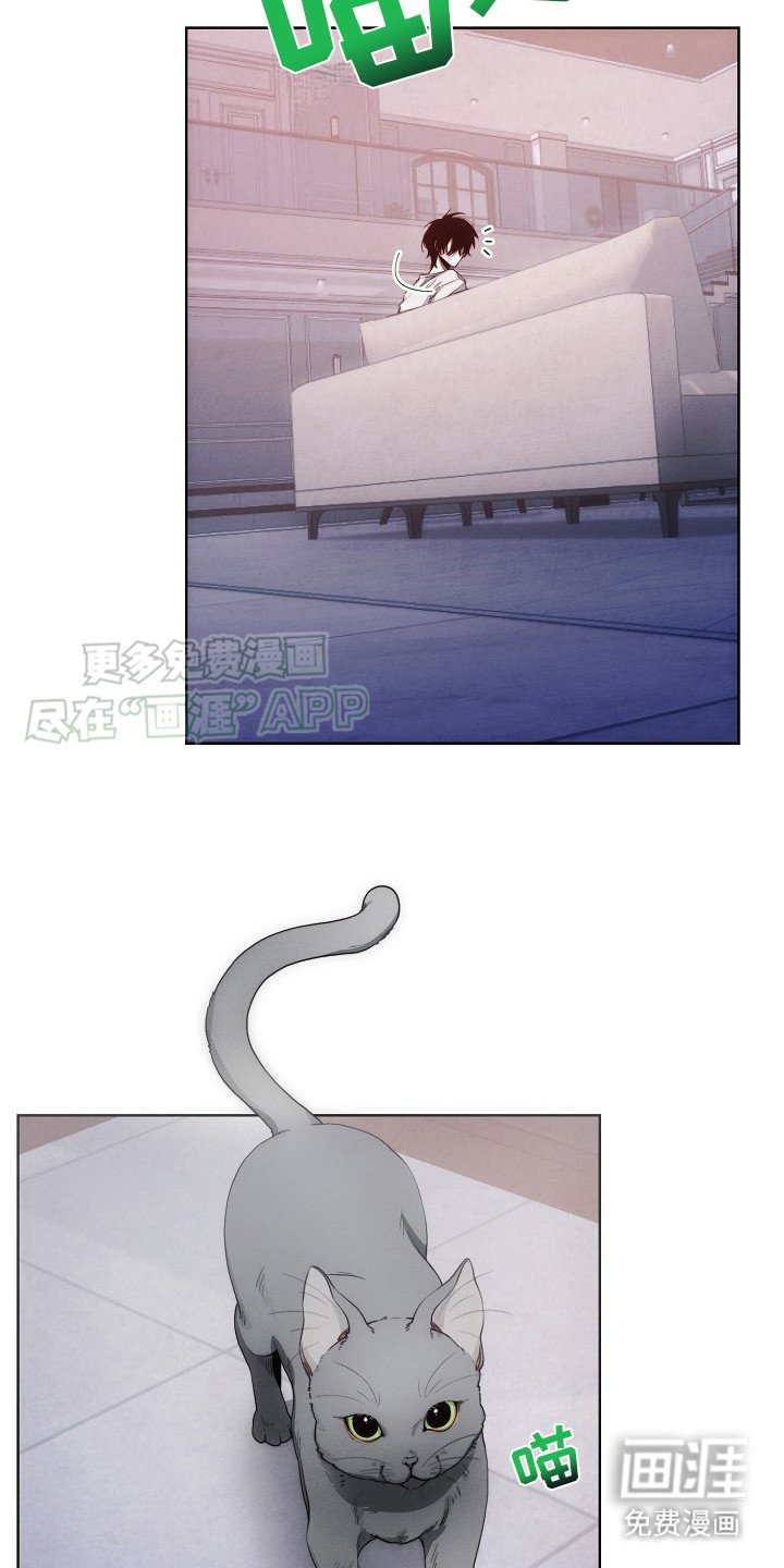 第13章：公寓