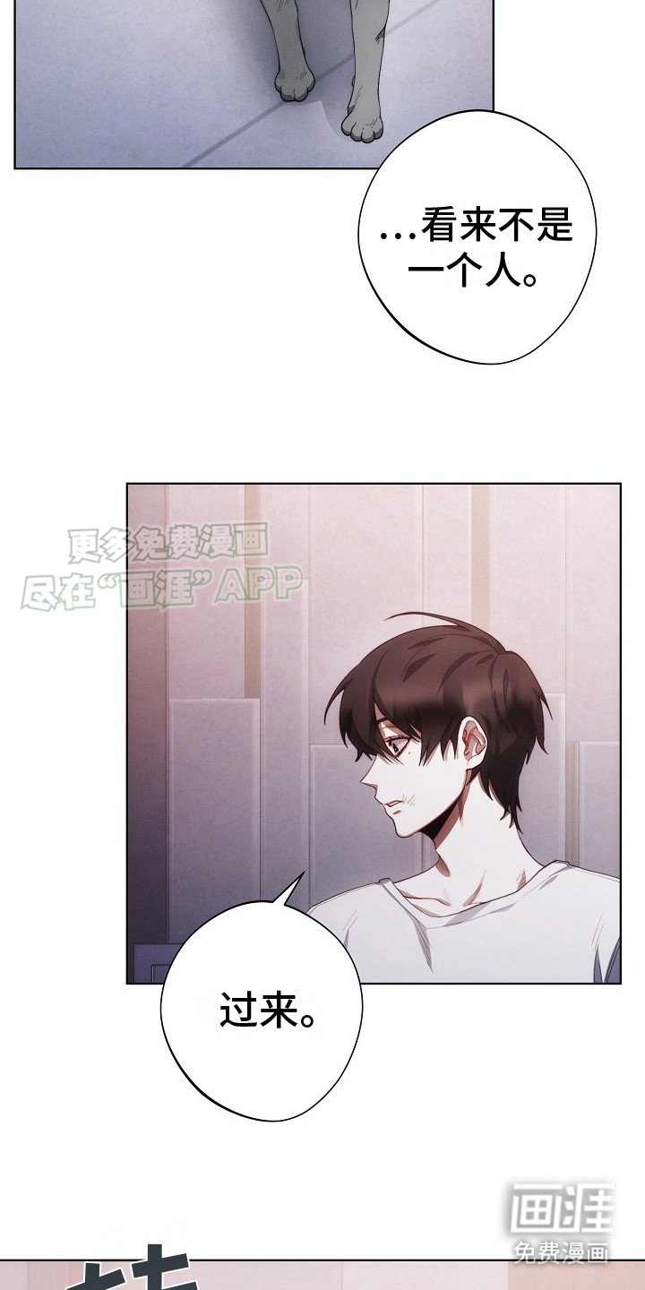 第13章：公寓