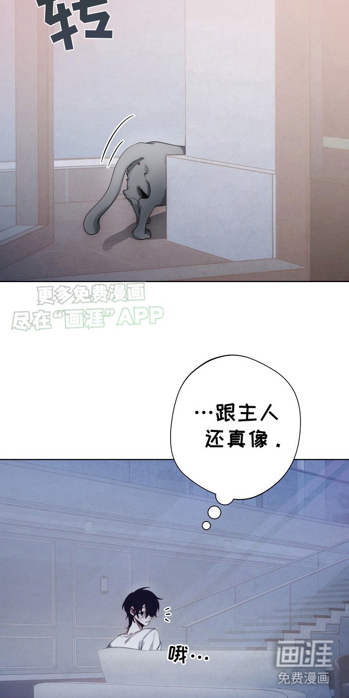 第13章：公寓
