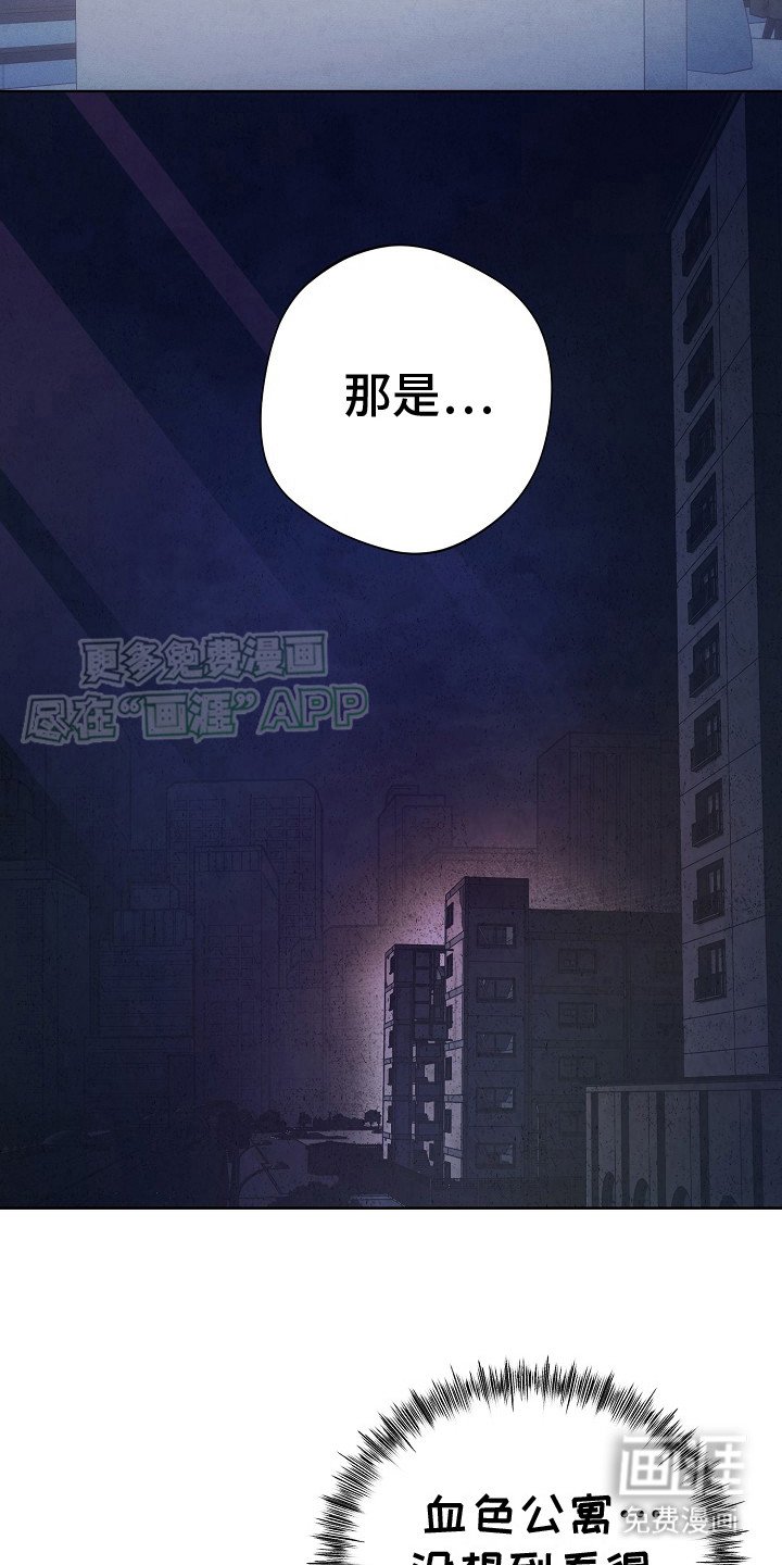 第13章：公寓