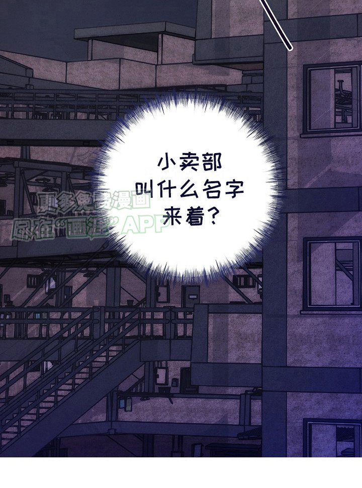第19章：结论