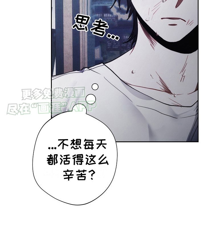 第23章：询问