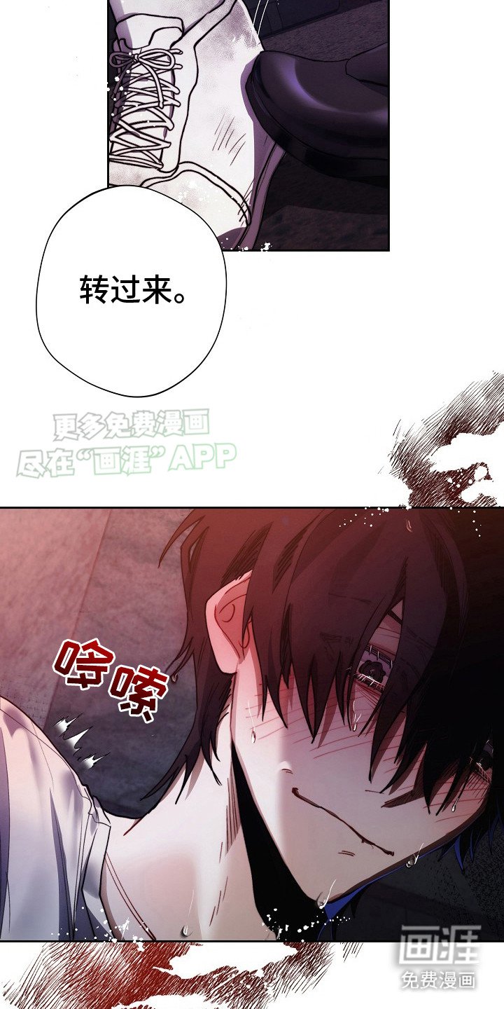 第24章：很好奇 