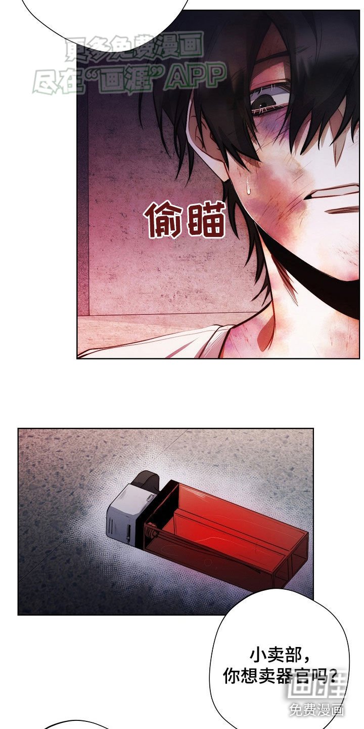 第28章：违背