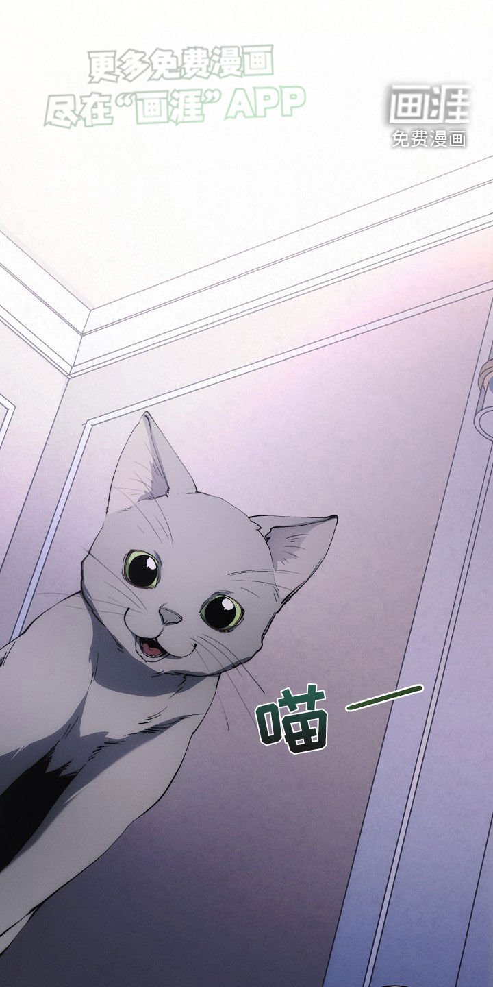 第29章：思乡病