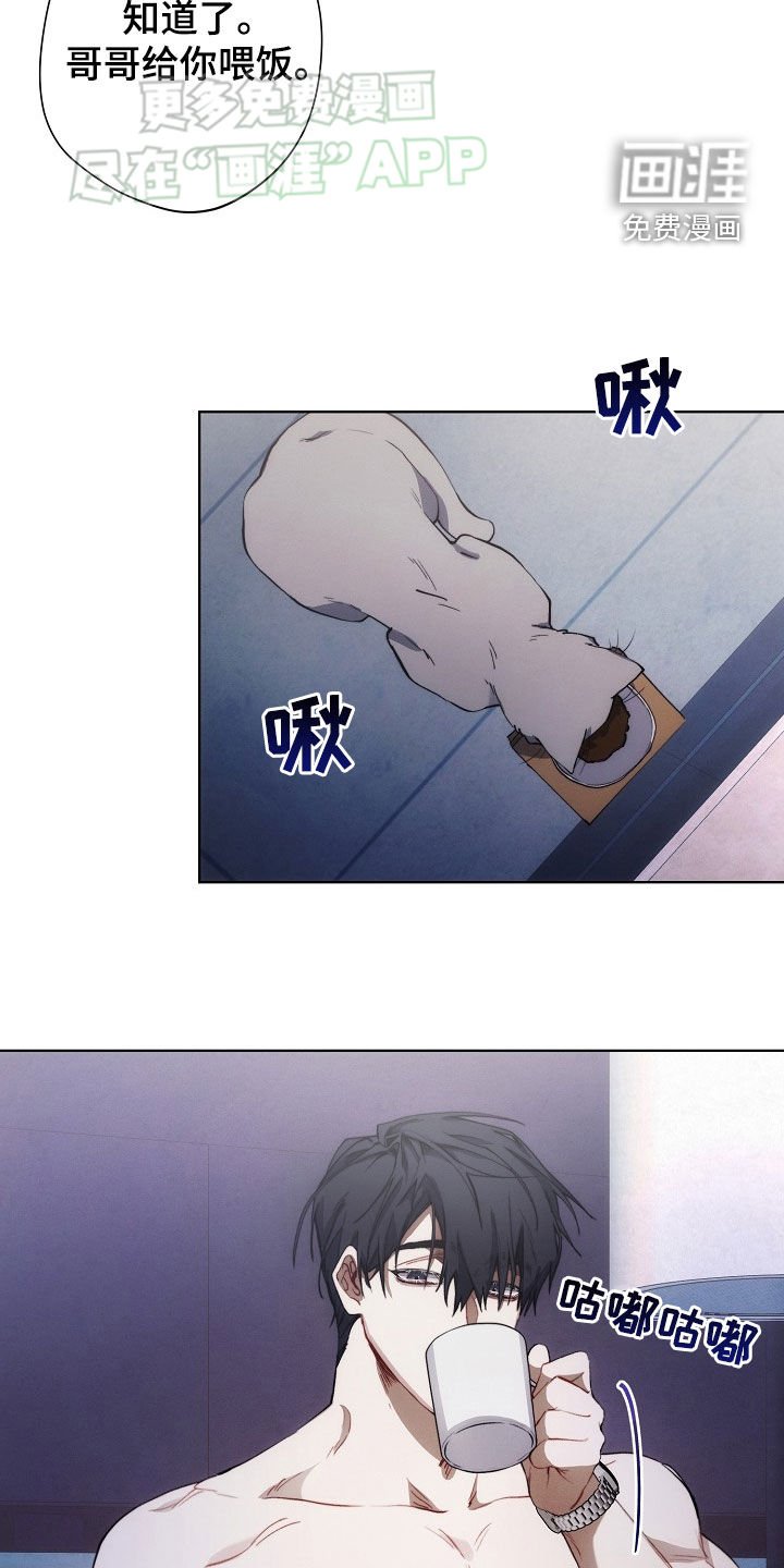 第29章：思乡病