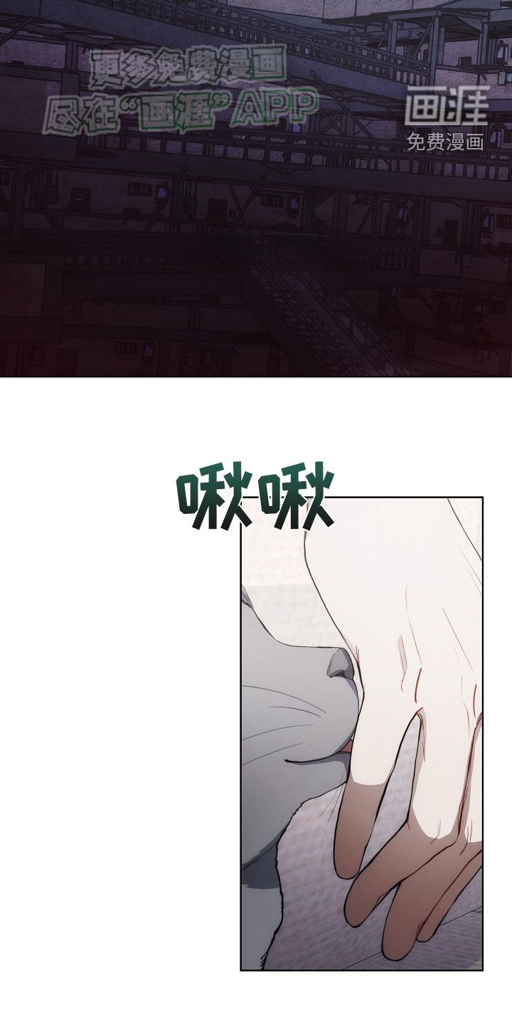 第29章：思乡病