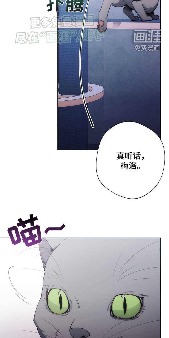 第29章：思乡病