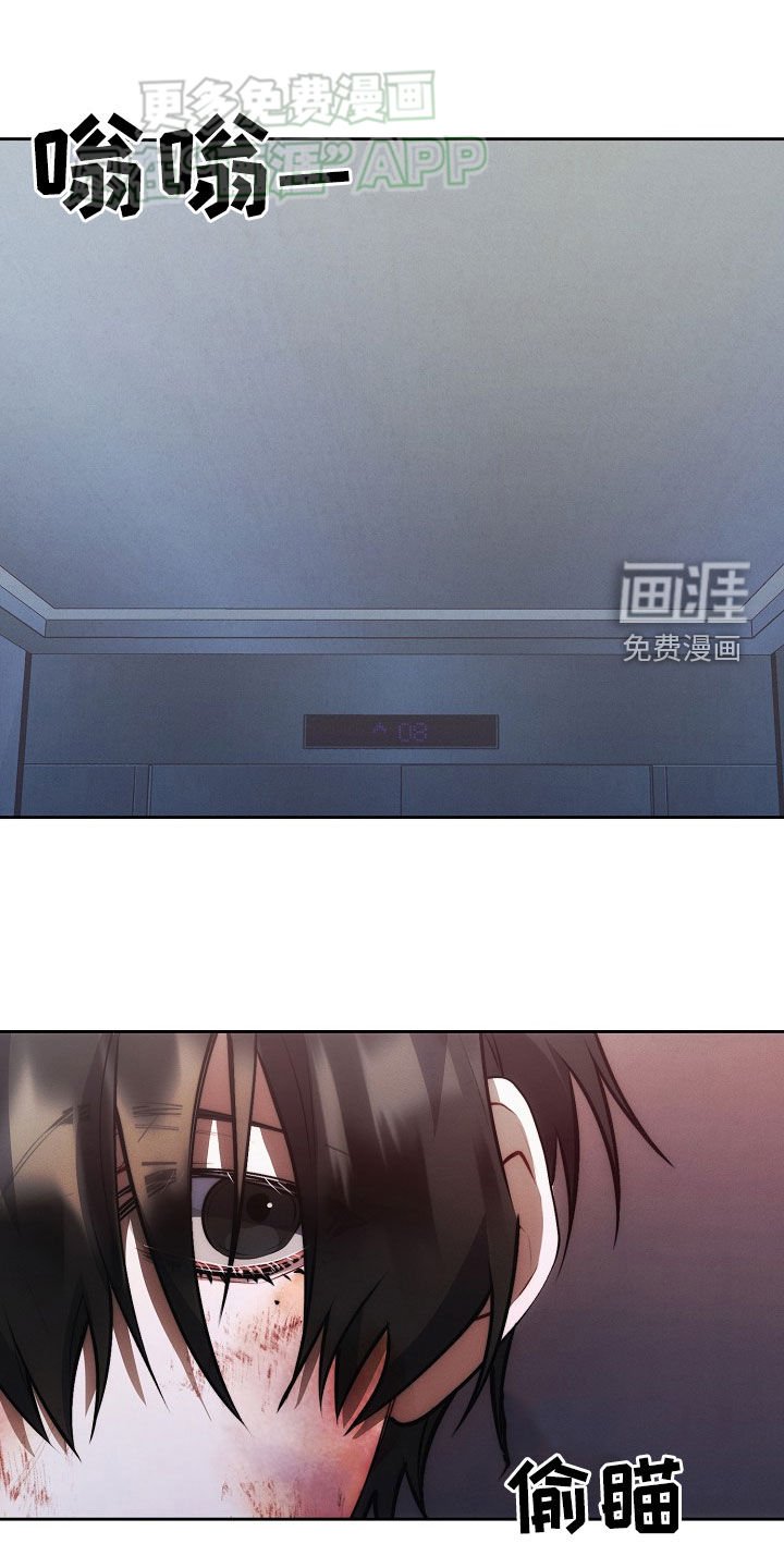 第31章：遐想