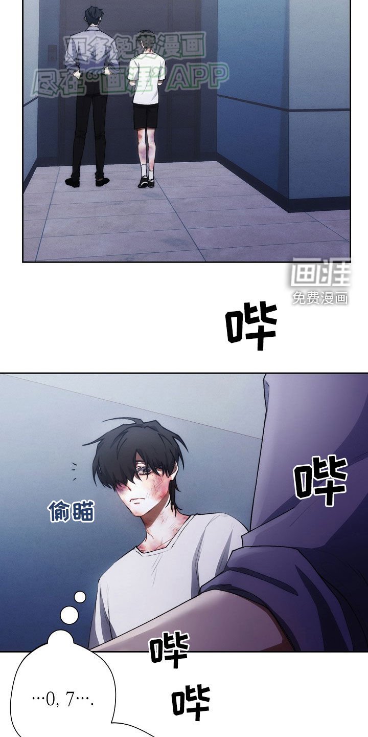第31章：遐想