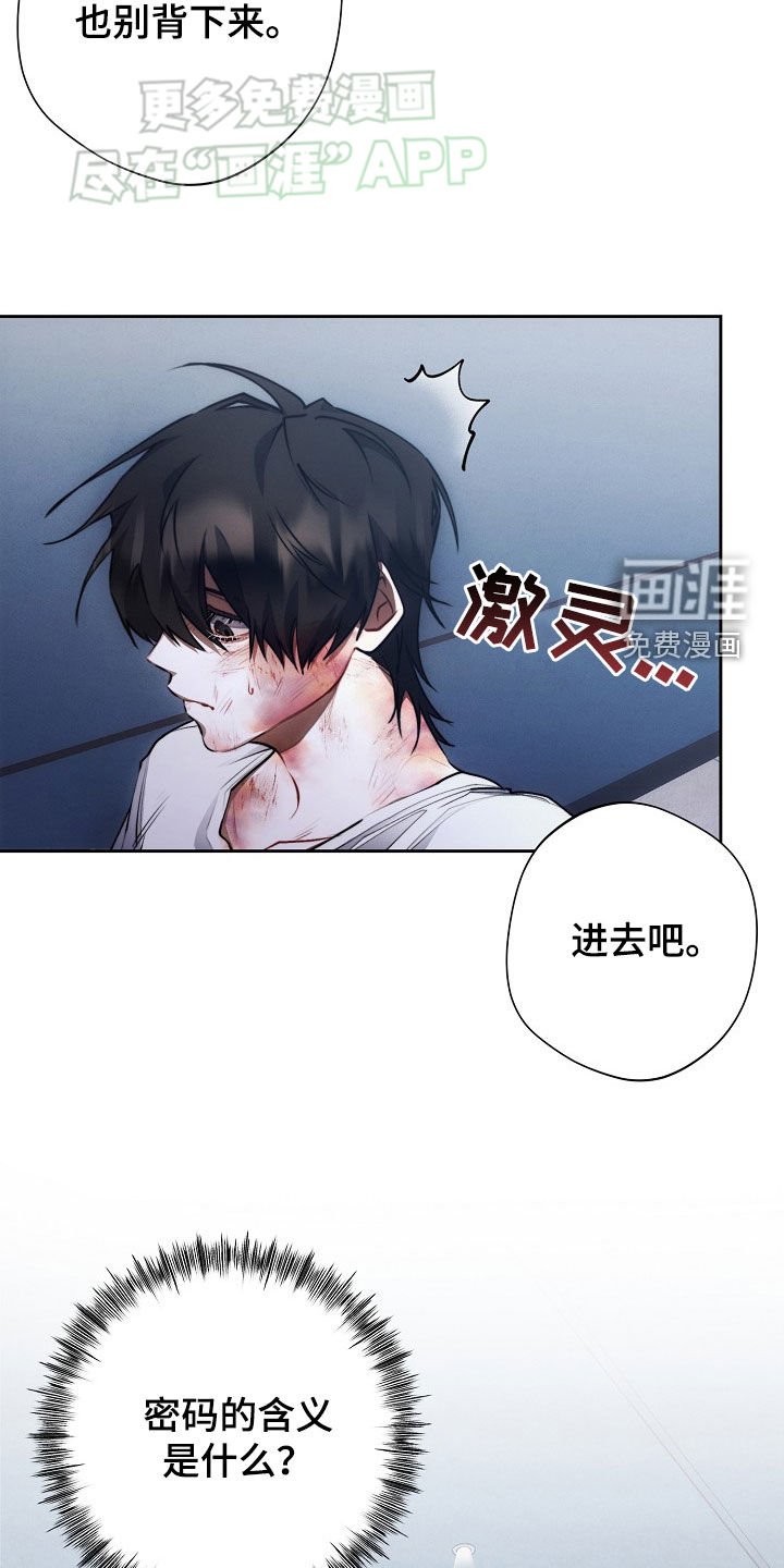 第31章：遐想