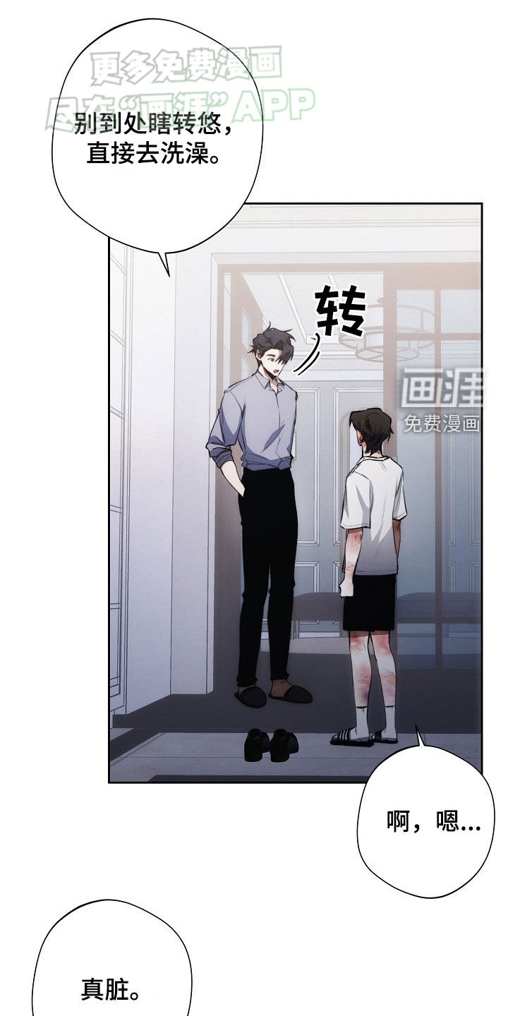 第31章：遐想
