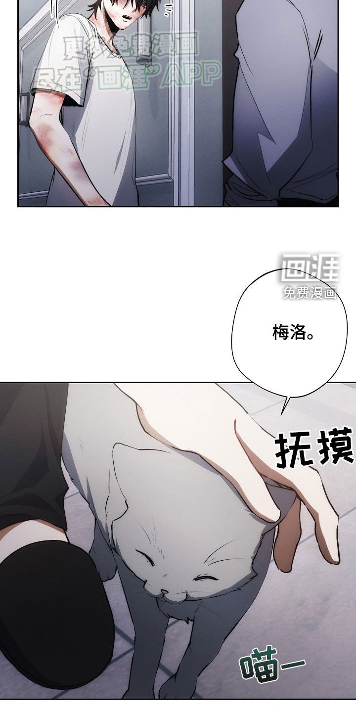 第31章：遐想