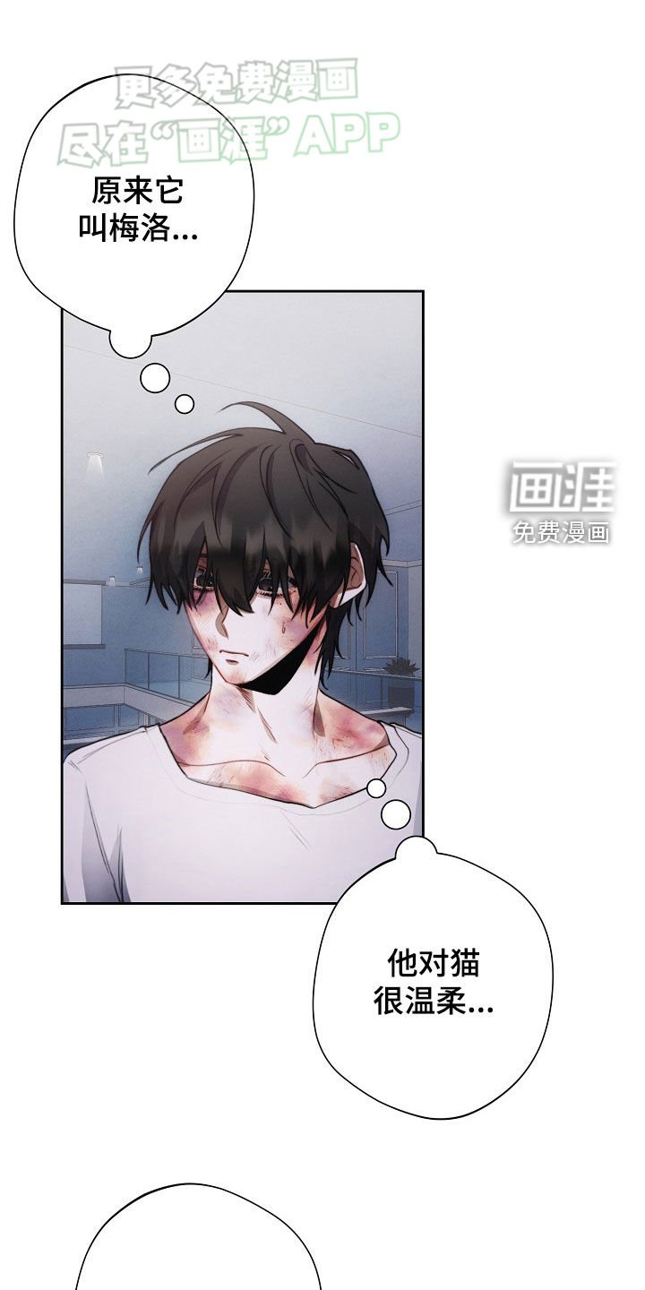 第31章：遐想