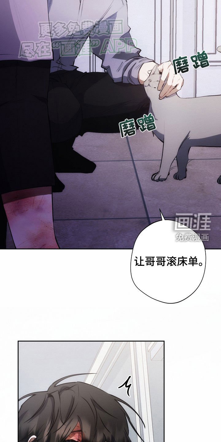 第31章：遐想