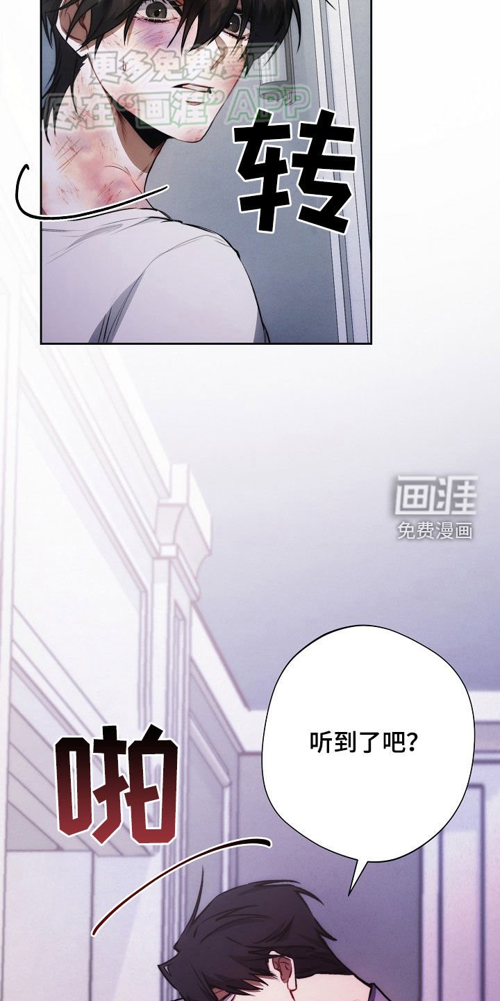 第31章：遐想