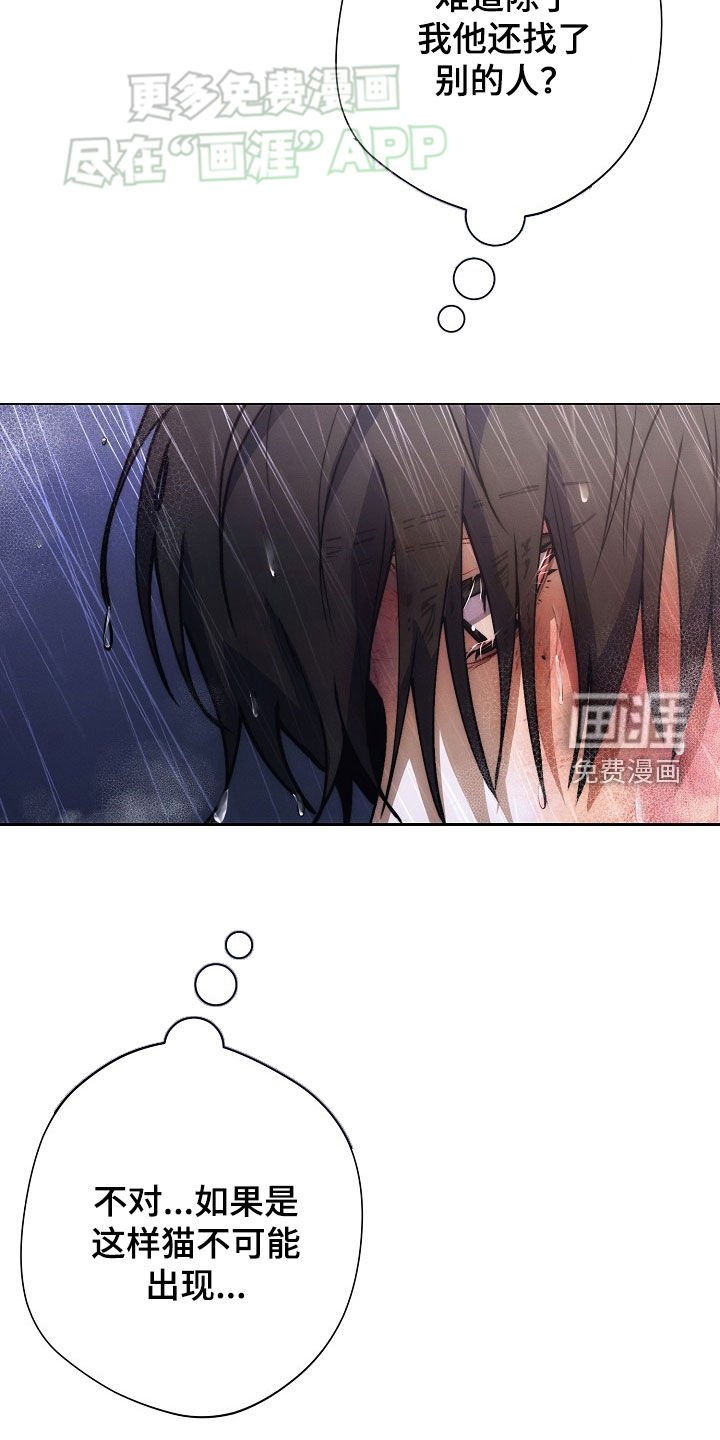 第31章：遐想