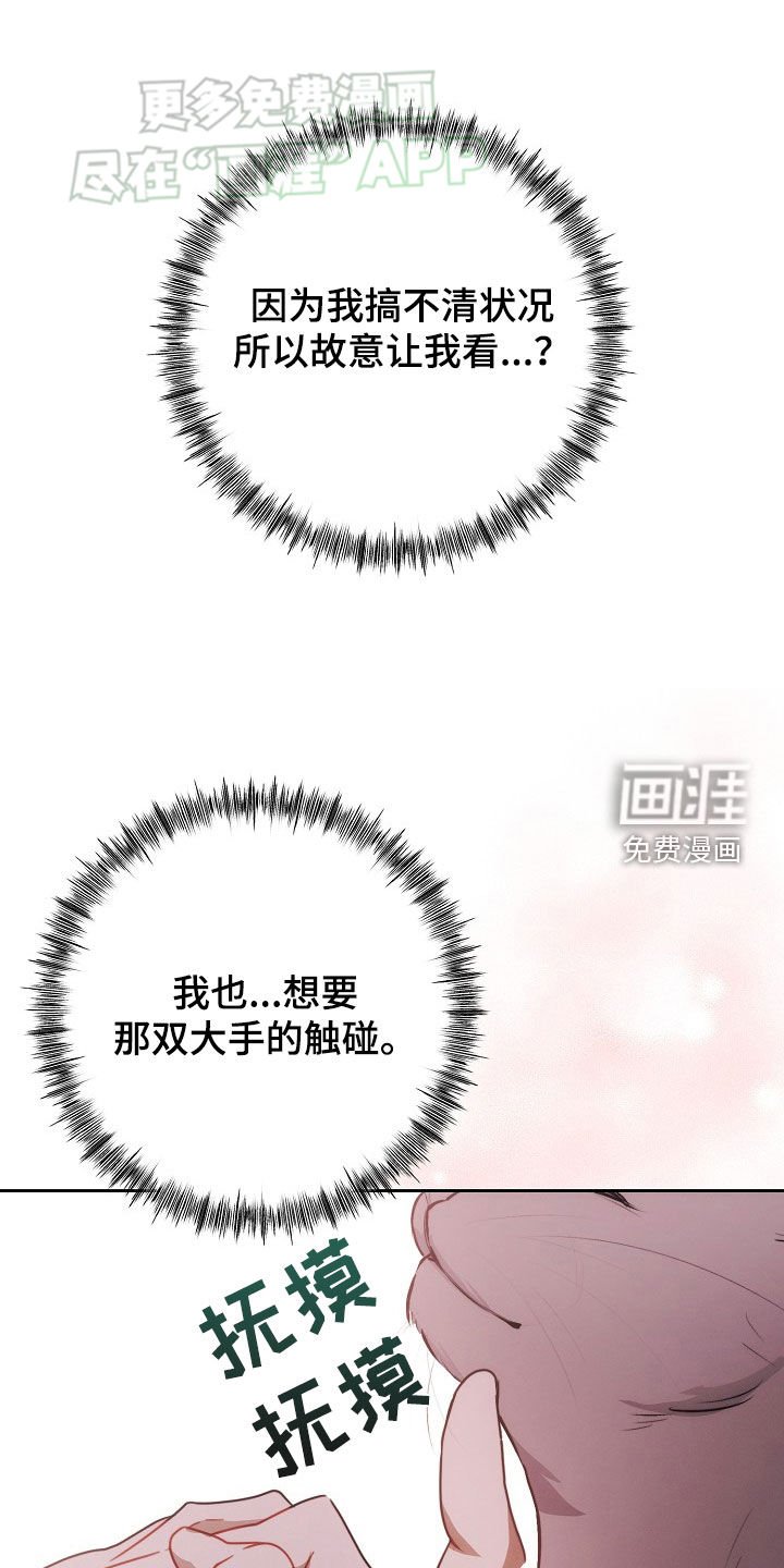 第31章：遐想
