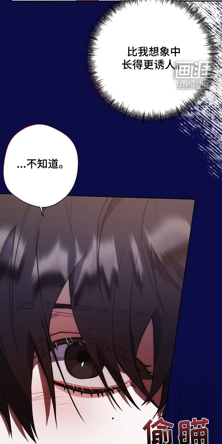 第36章：电话