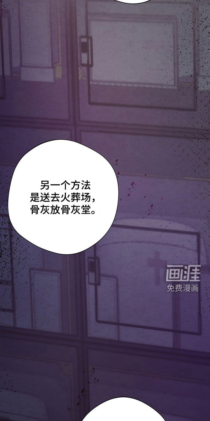第38章：影子