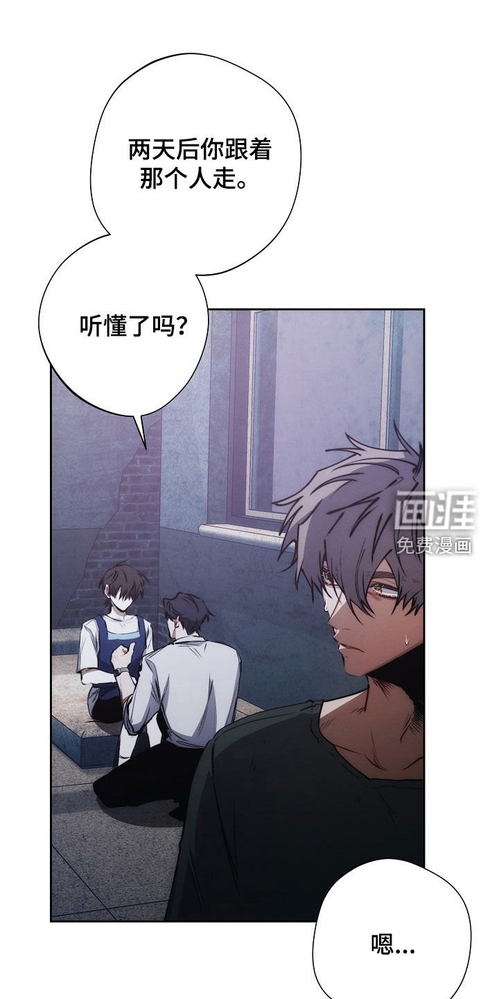 第39章：失魂落魄