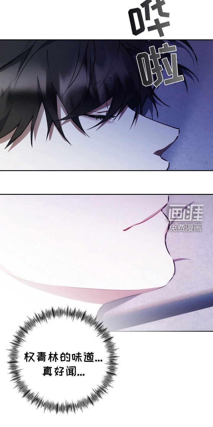 第41章：想起他的家