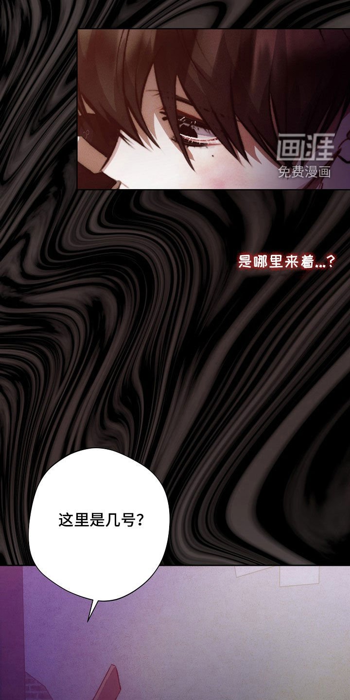 第42章：同情